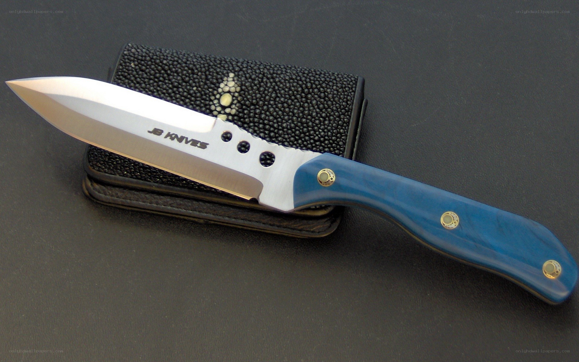 Blue-handled folding knife