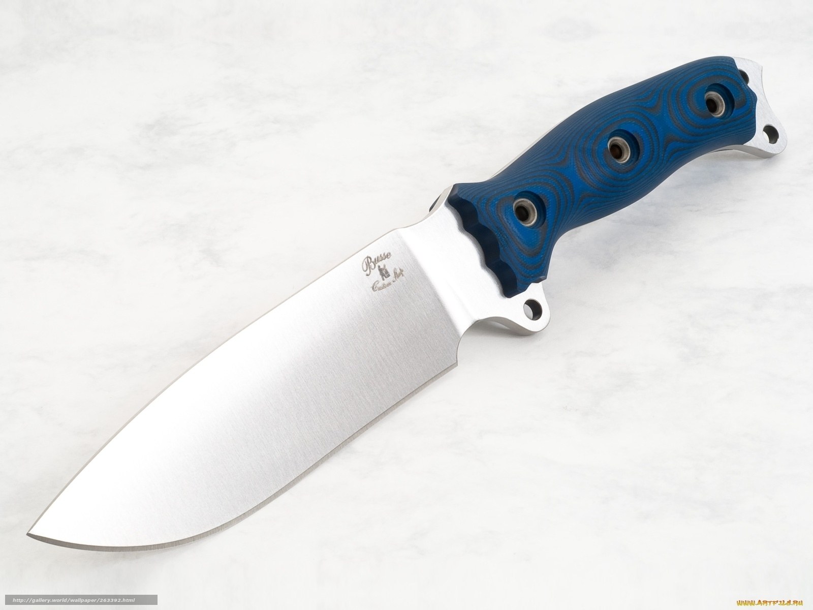 blue-handled tactical knife