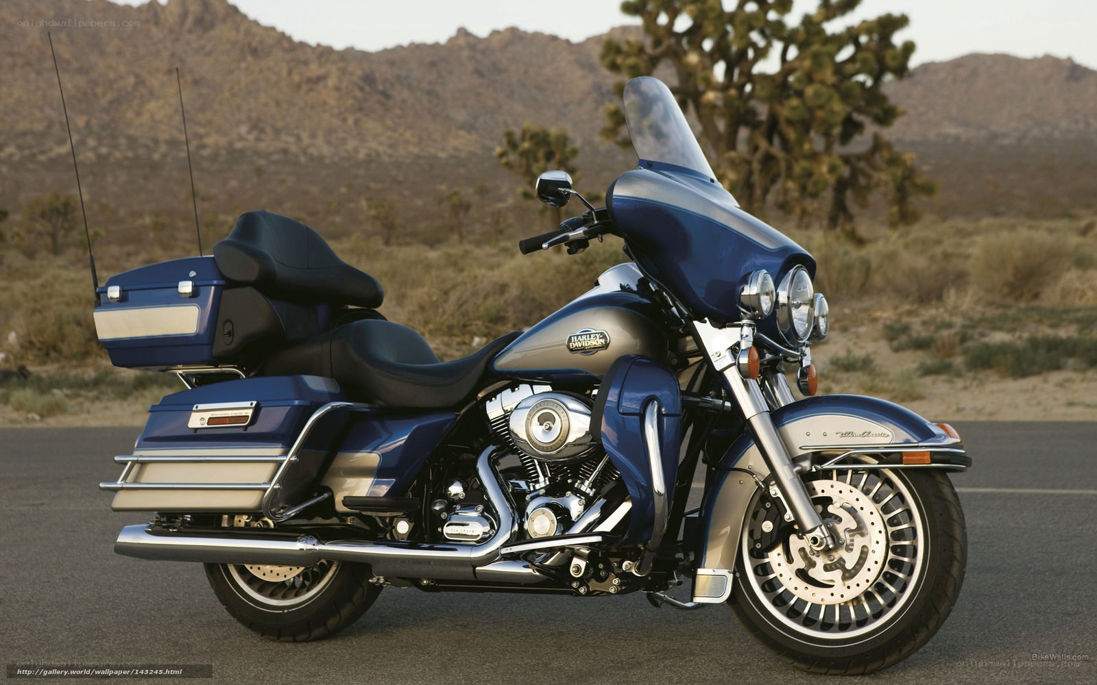 Blue Harley-Davidson in desert