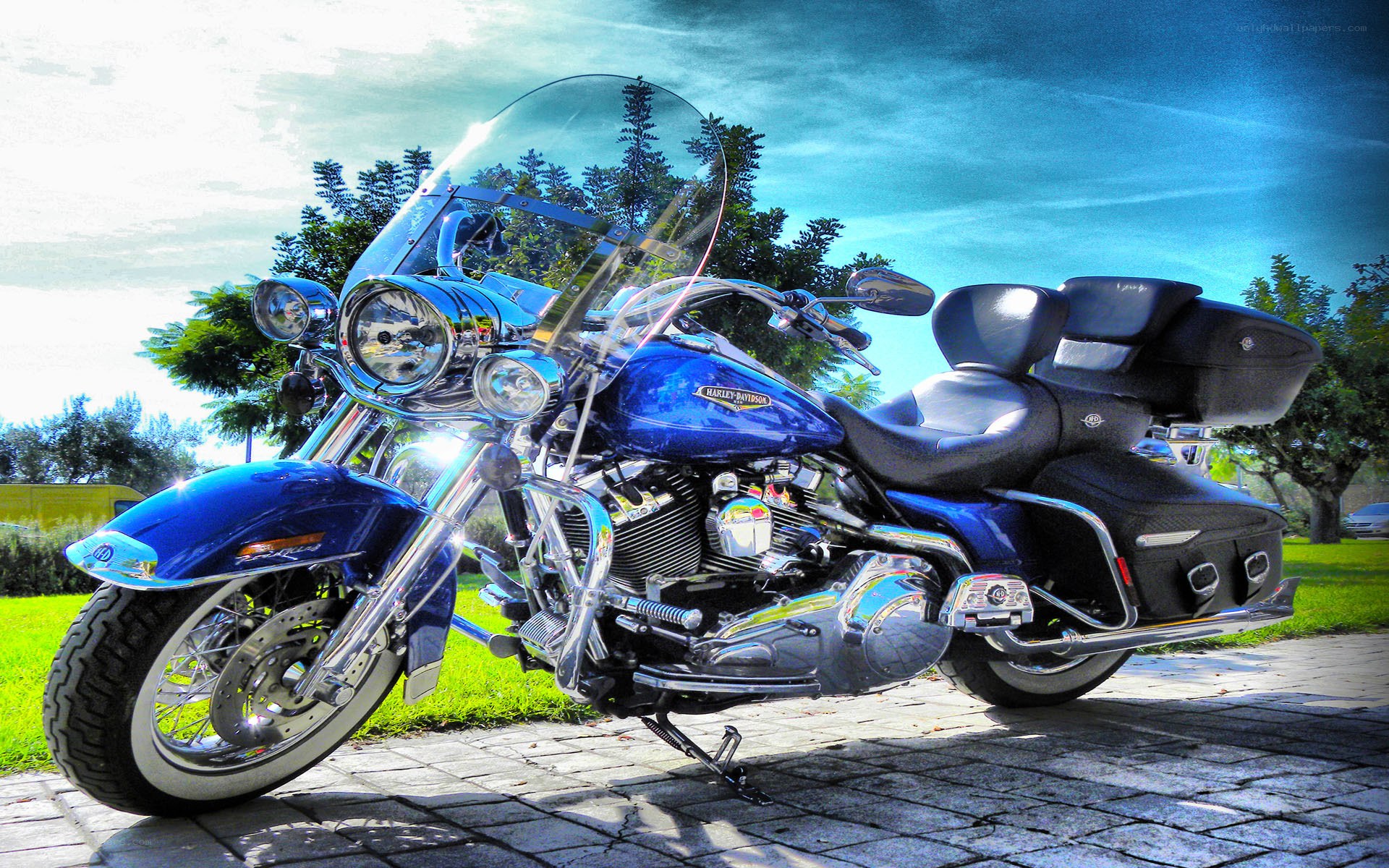 blue harley-davidson motorcycle