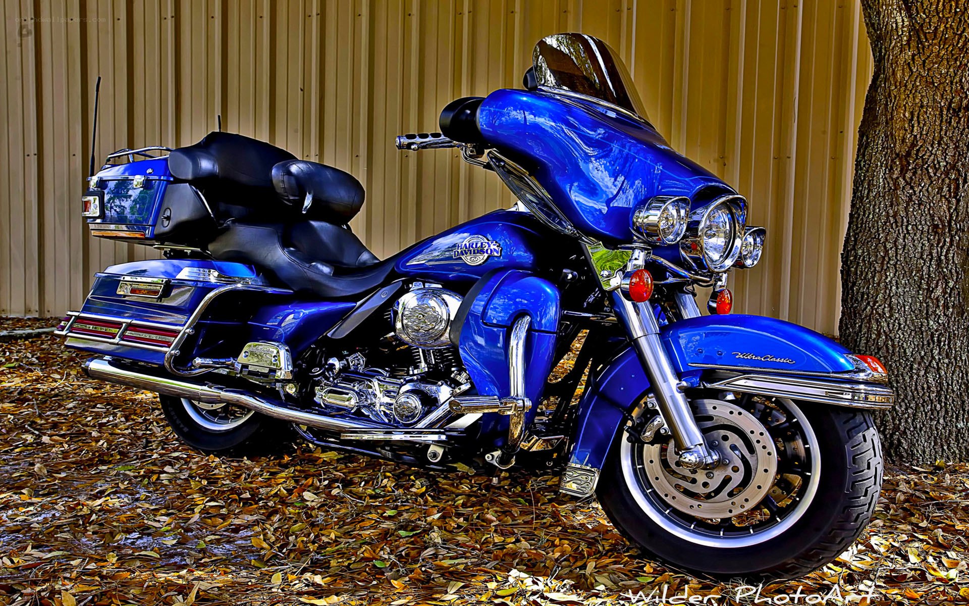 Blue Harley-Davidson motorcycle