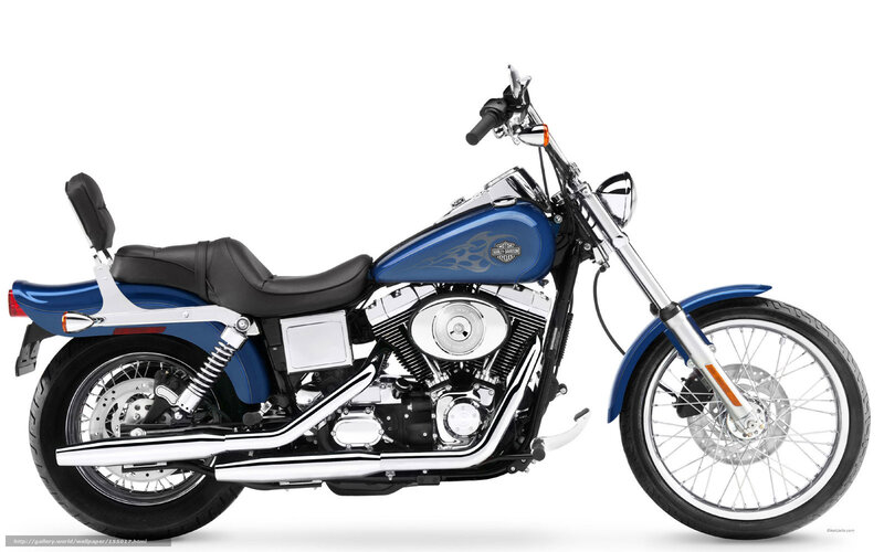 blue harley-davidson motorcycle