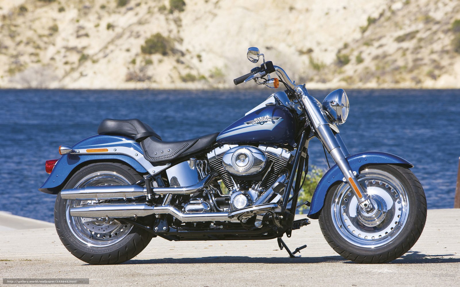 Blue Harley-Davidson motorcycle