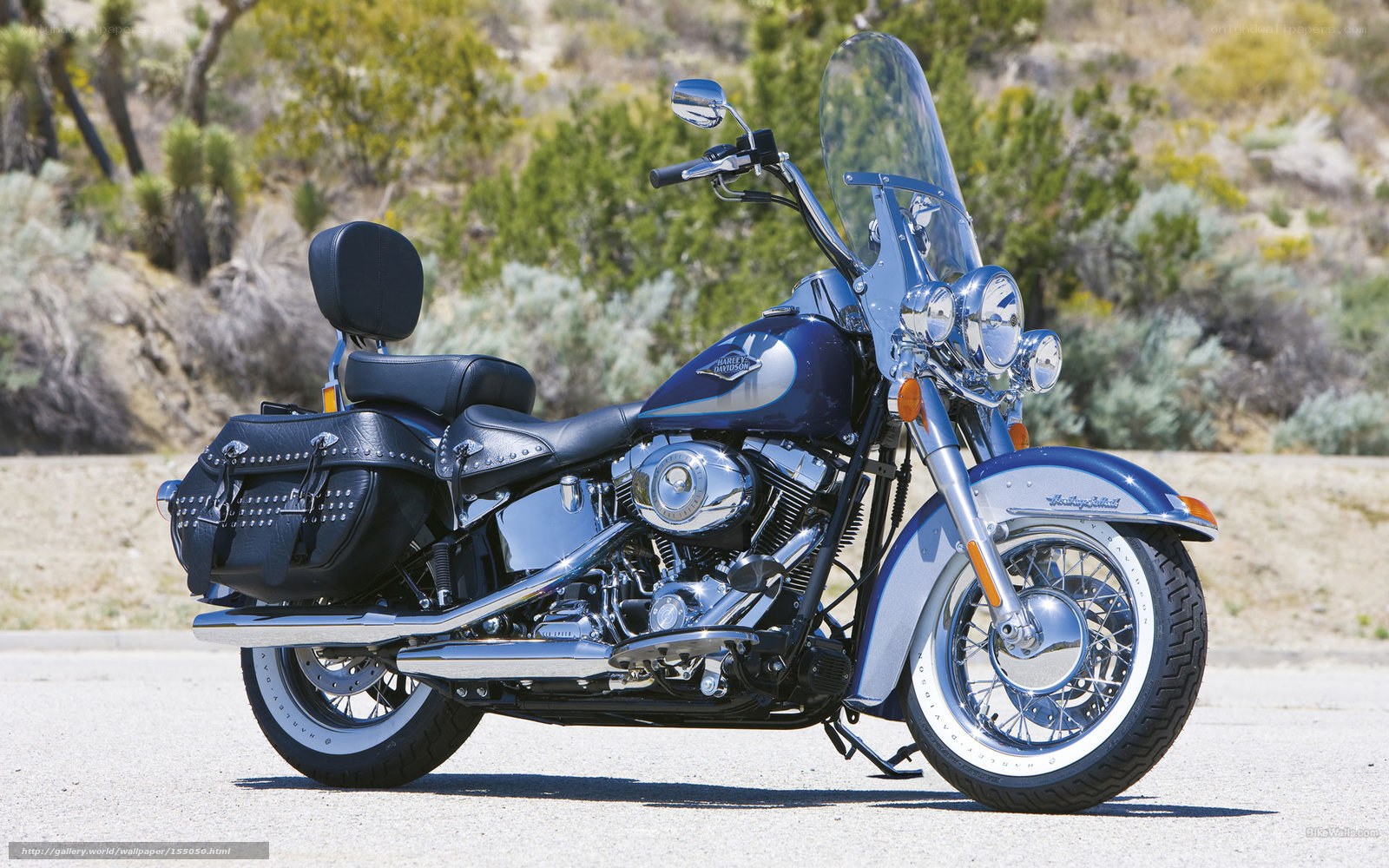 Blue Harley-Davidson motorcycle