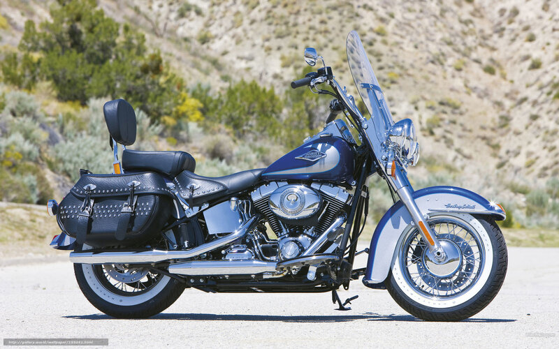 Blue Harley-Davidson motorcycle