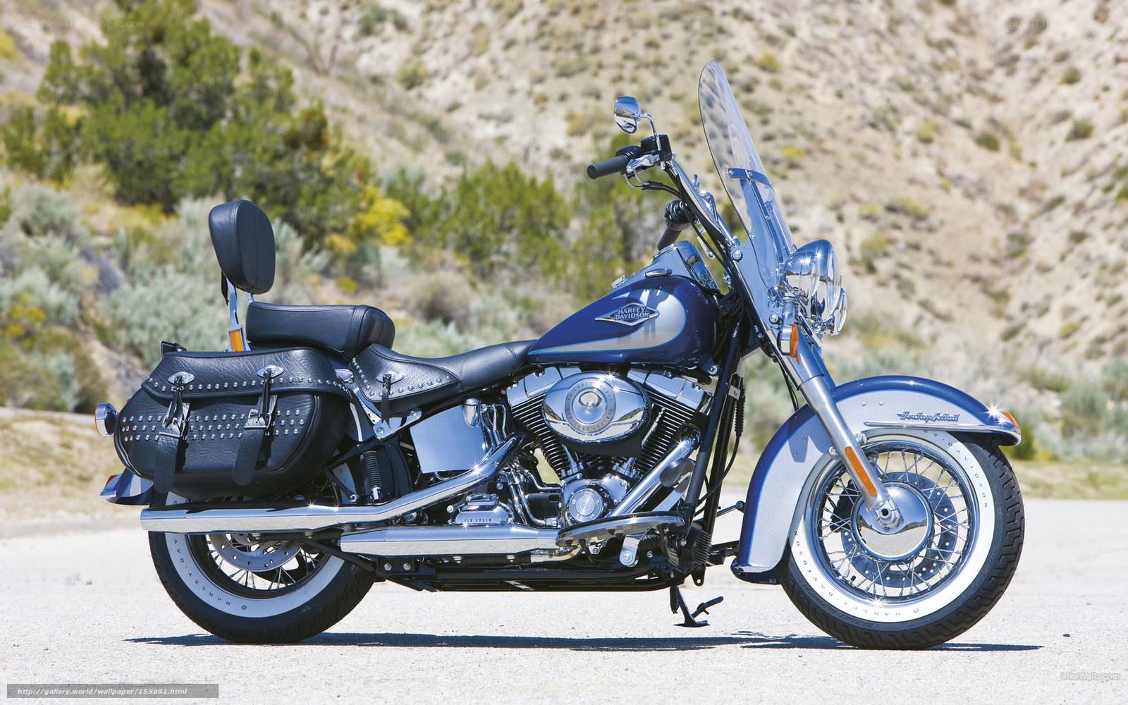 Blue Harley-Davidson motorcycle