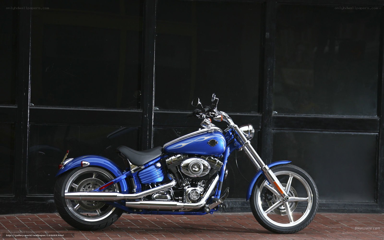 blue harley-davidson motorcycle