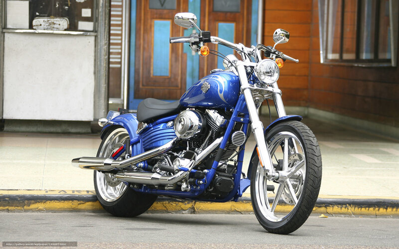 Blue Harley-Davidson motorcycle