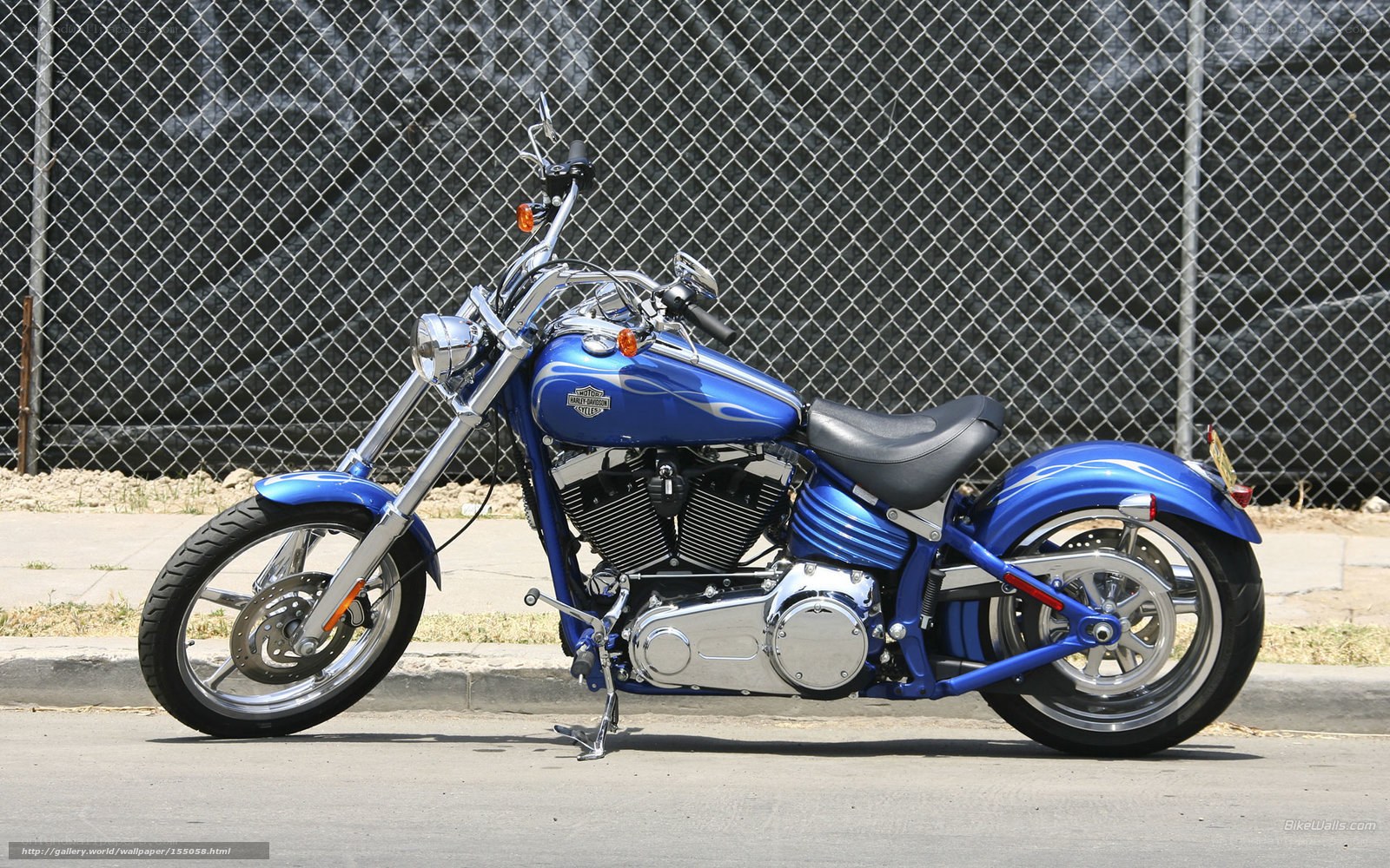 blue harley-davidson motorcycle