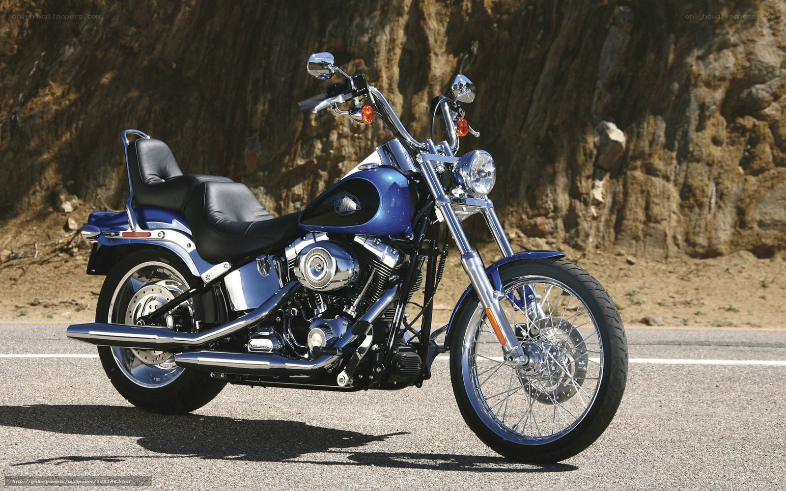 Blue Harley-Davidson motorcycle