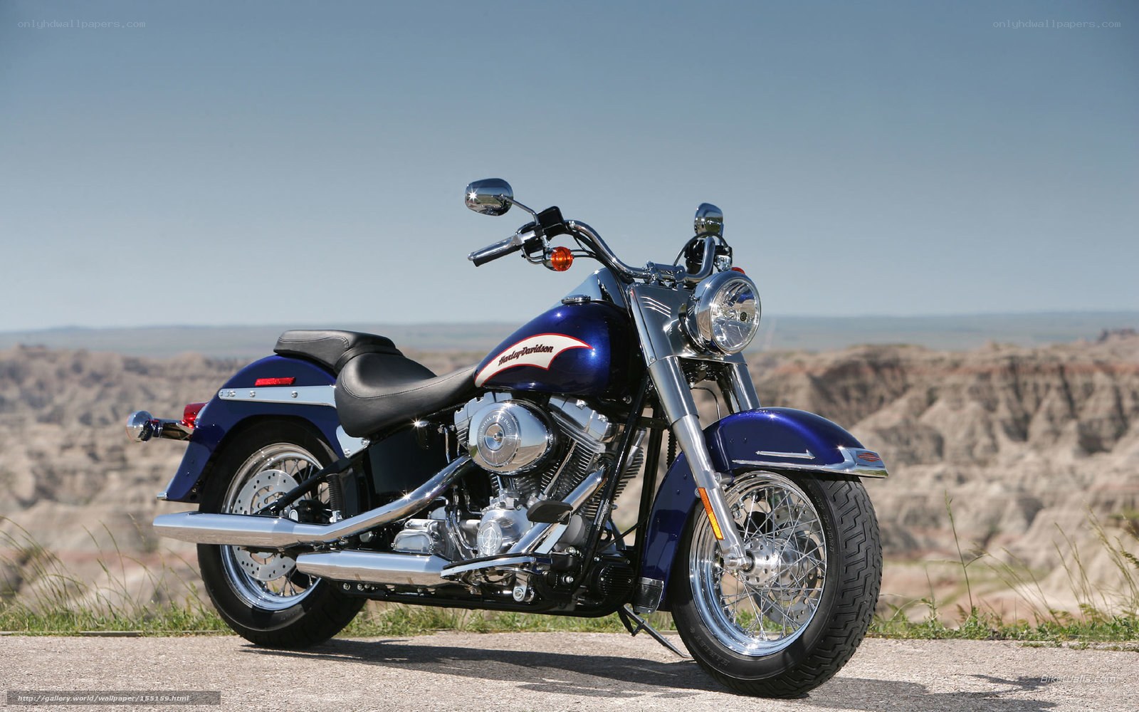 Blue Harley-Davidson motorcycle