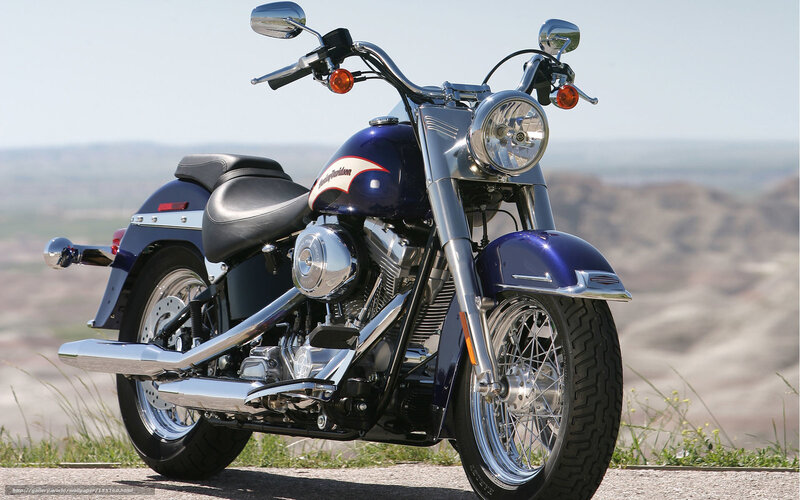 Blue Harley-Davidson motorcycle