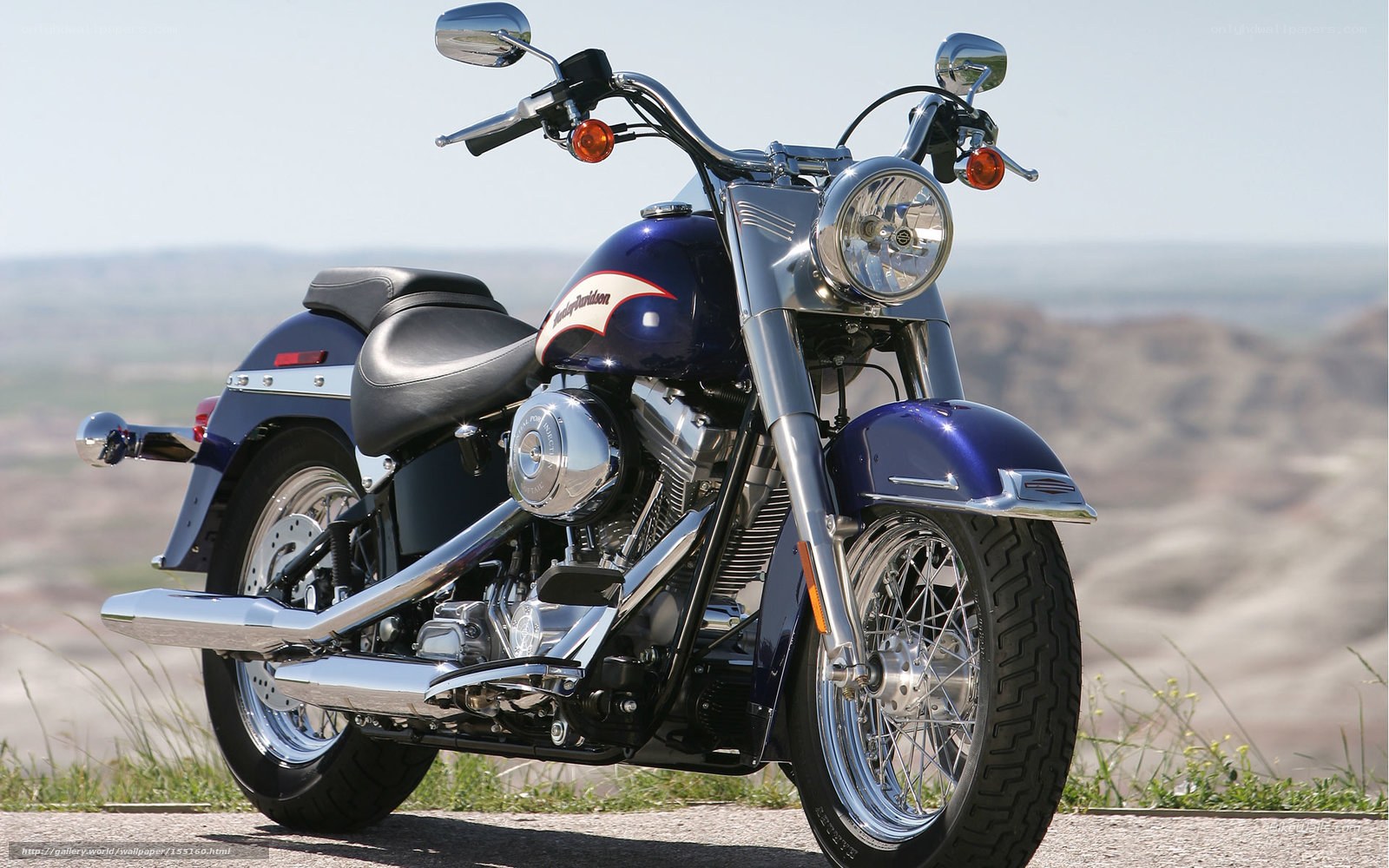 Blue Harley-Davidson motorcycle