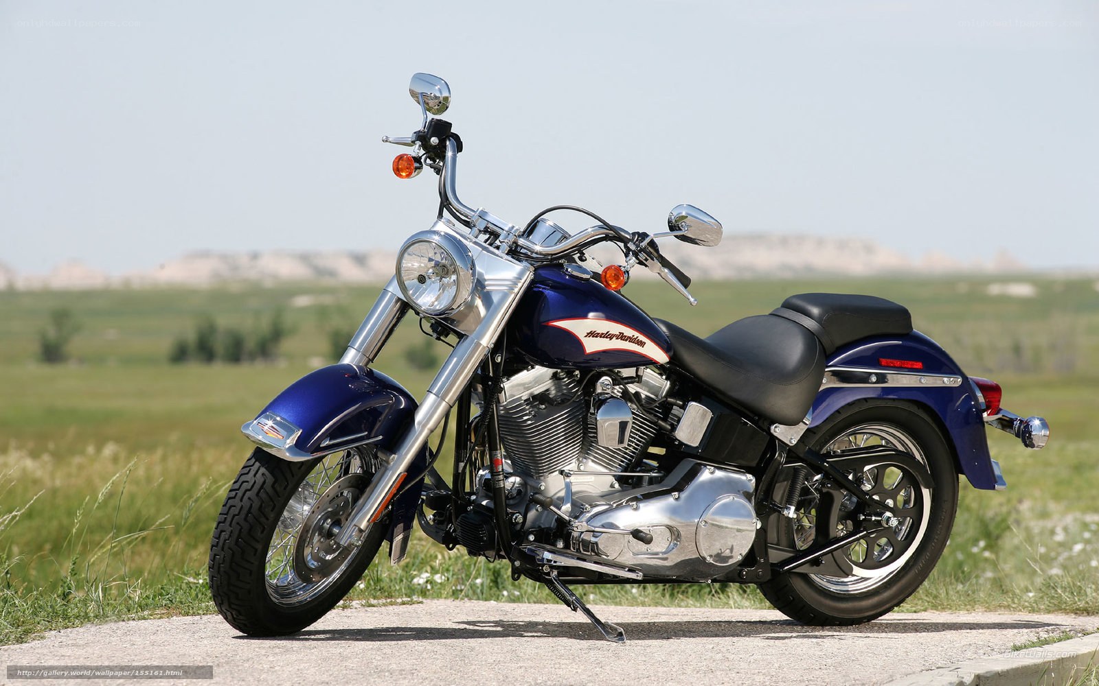 Blue Harley-Davidson motorcycle