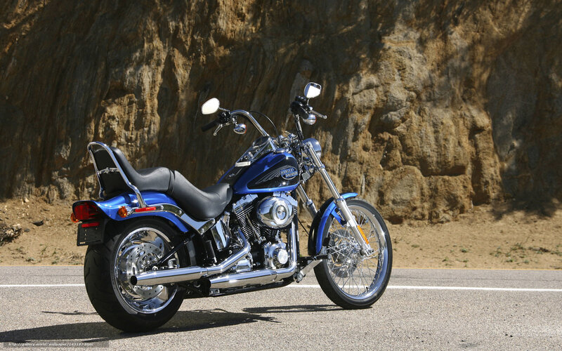 Blue Harley-Davidson motorcycle