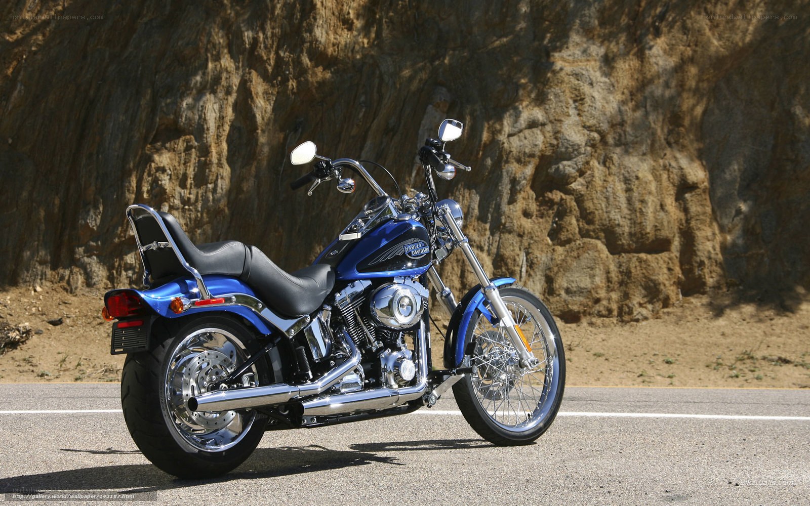 Blue Harley-Davidson motorcycle