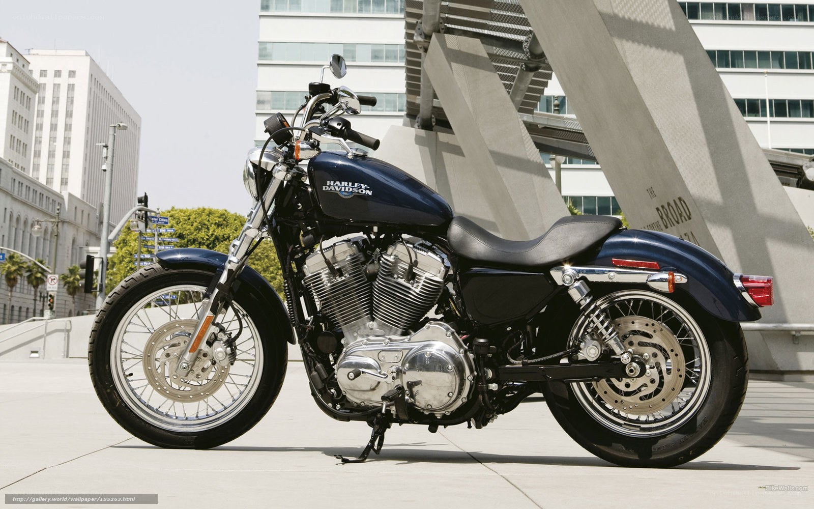 Blue Harley-Davidson motorcycle