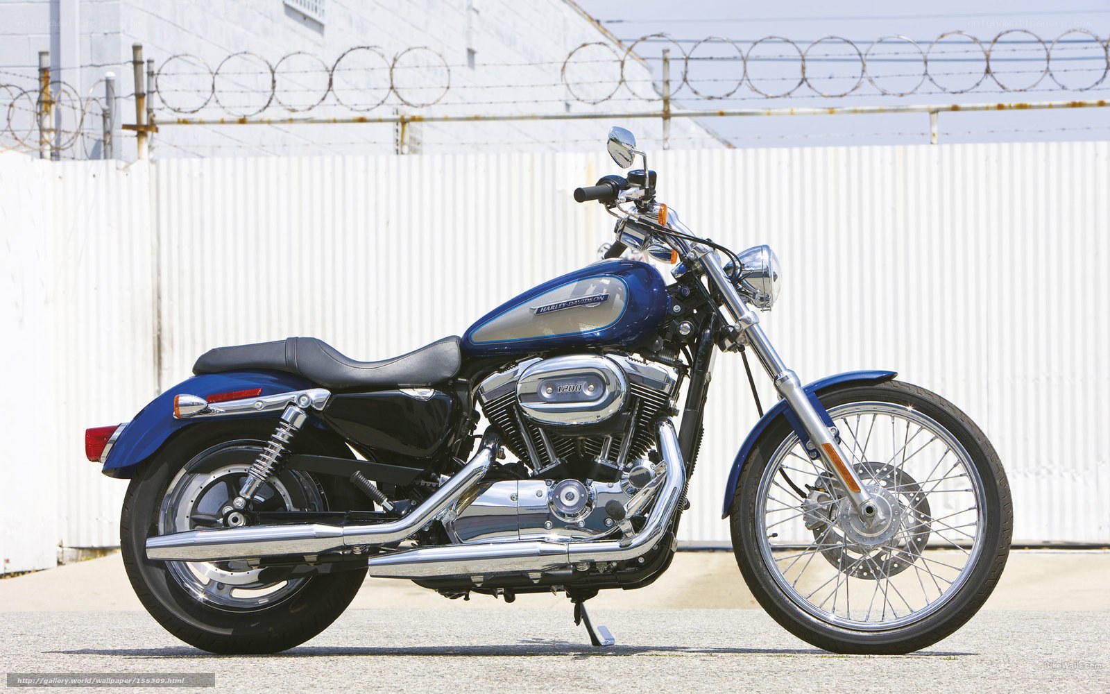 Blue Harley-Davidson motorcycle