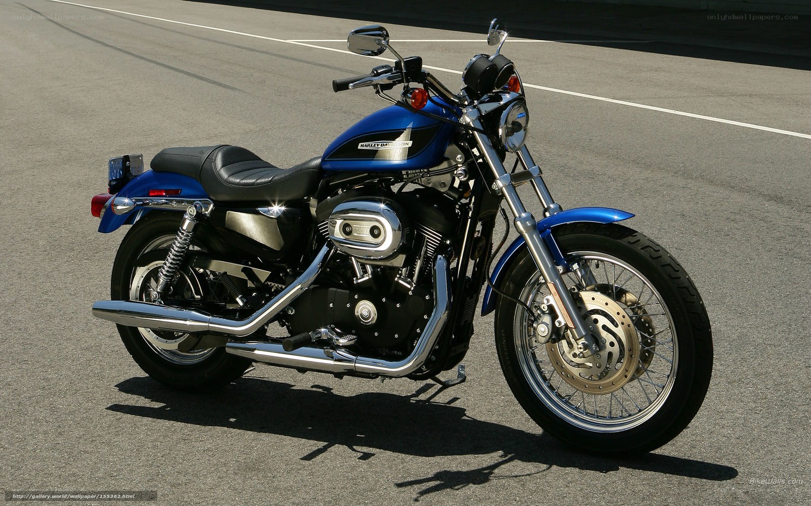 blue harley-davidson motorcycle