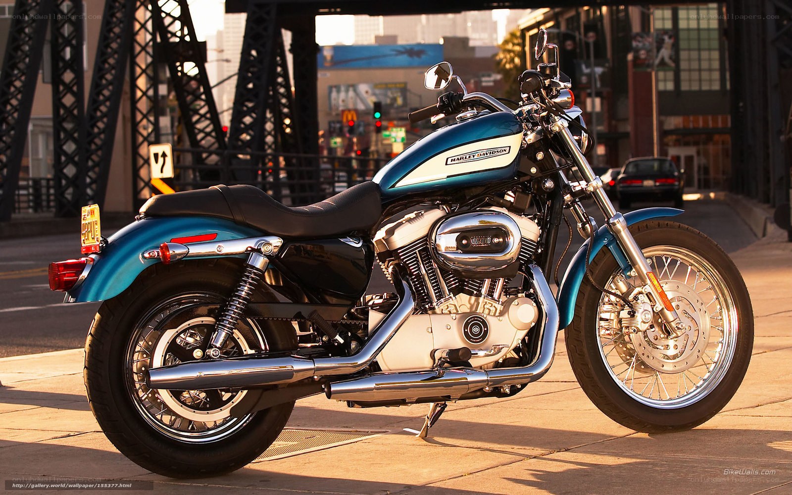 Blue Harley-Davidson motorcycle