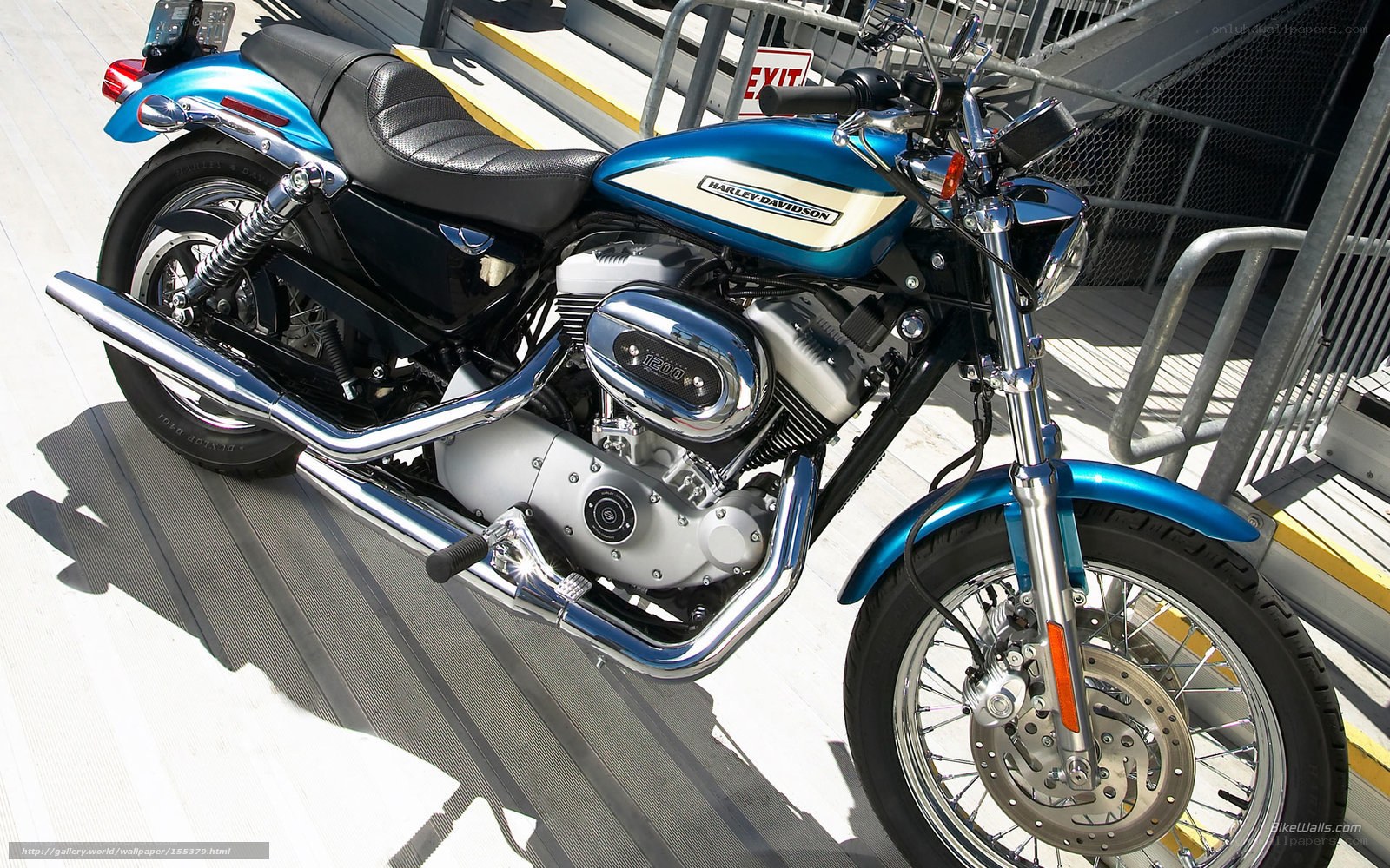 Blue Harley-Davidson motorcycle