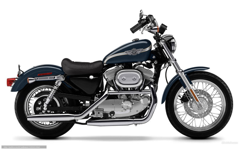blue harley-davidson motorcycle