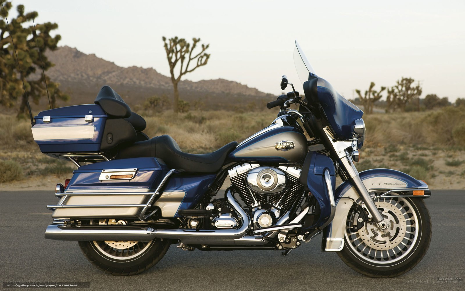 Blue Harley-Davidson motorcycle