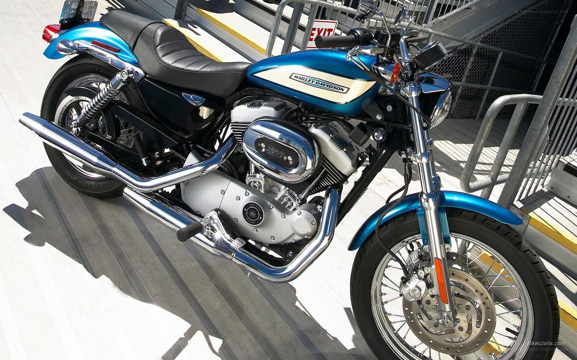 blue harley-davidson motorcycle