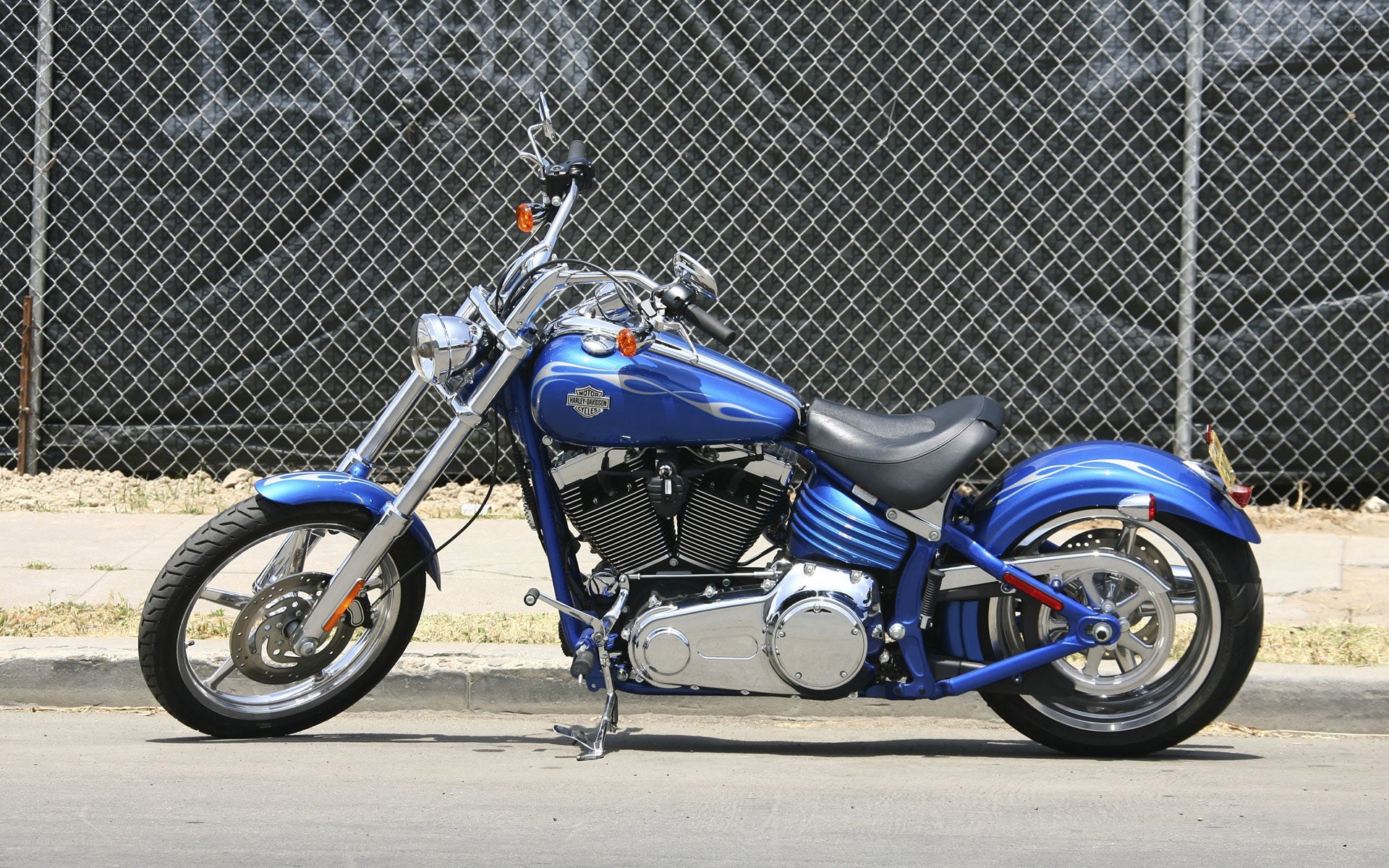 blue harley-davidson motorcycle