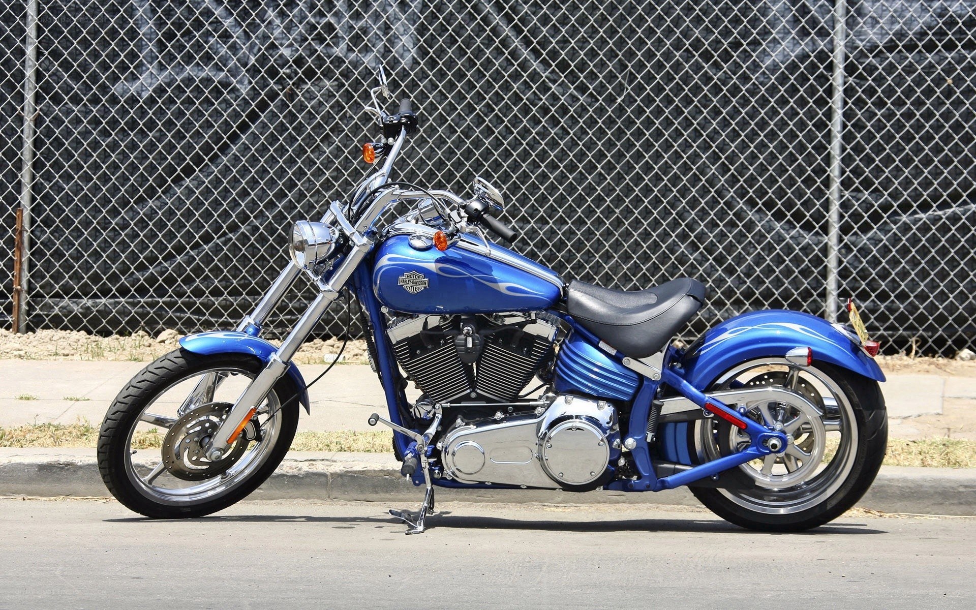 Blue Harley-Davidson motorcycle