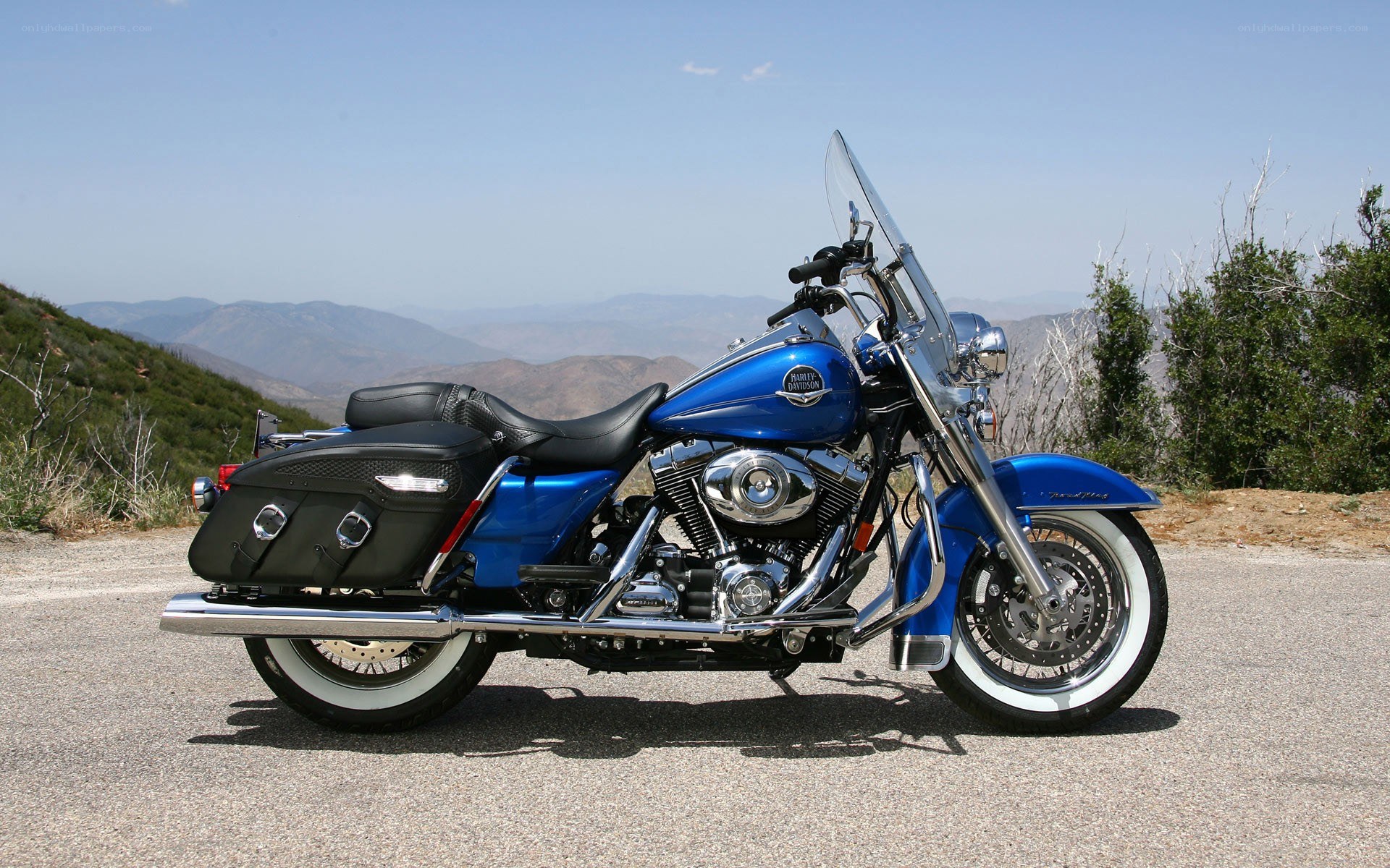 blue harley-davidson motorcycle