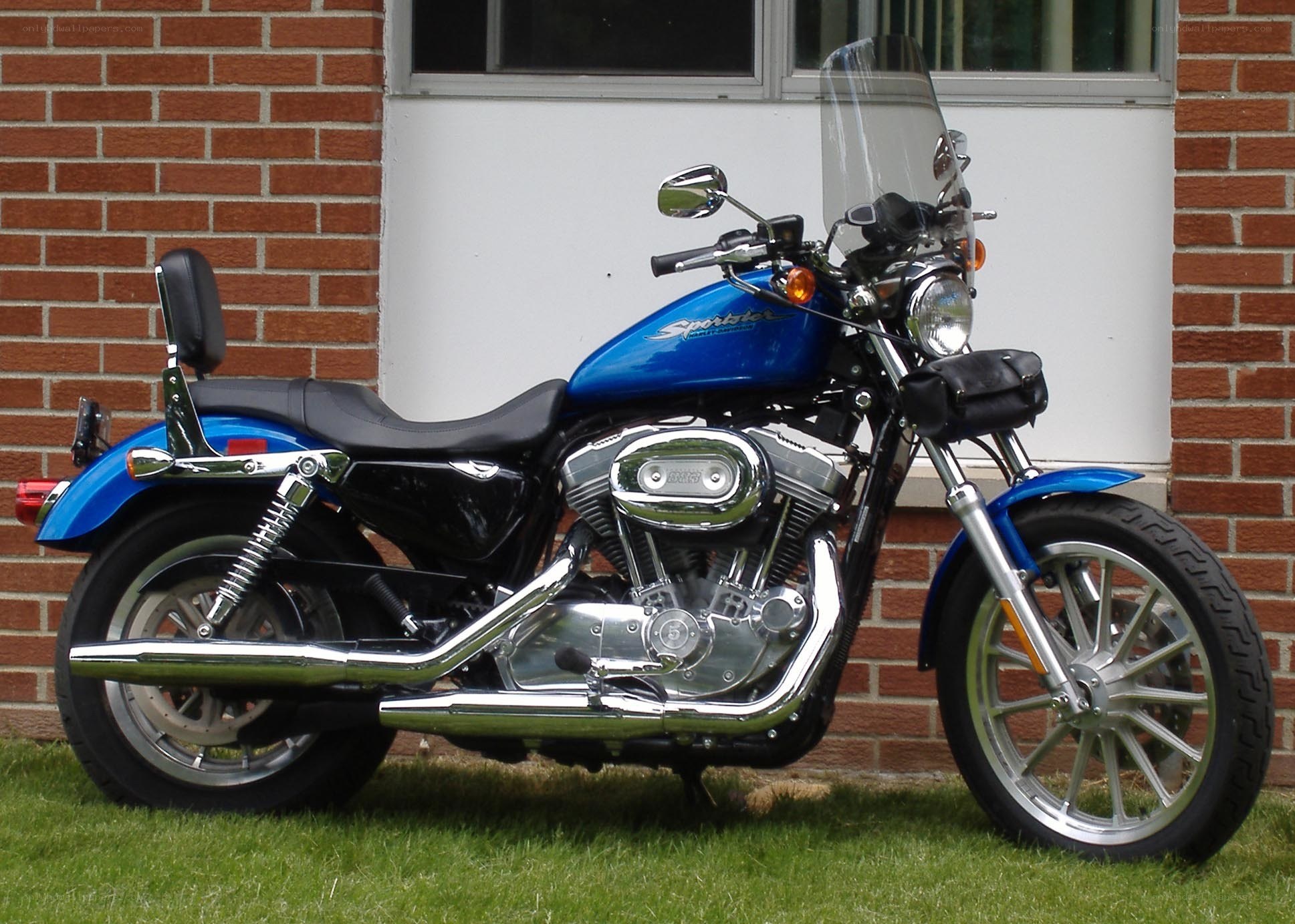 blue harley-davidson motorcycle