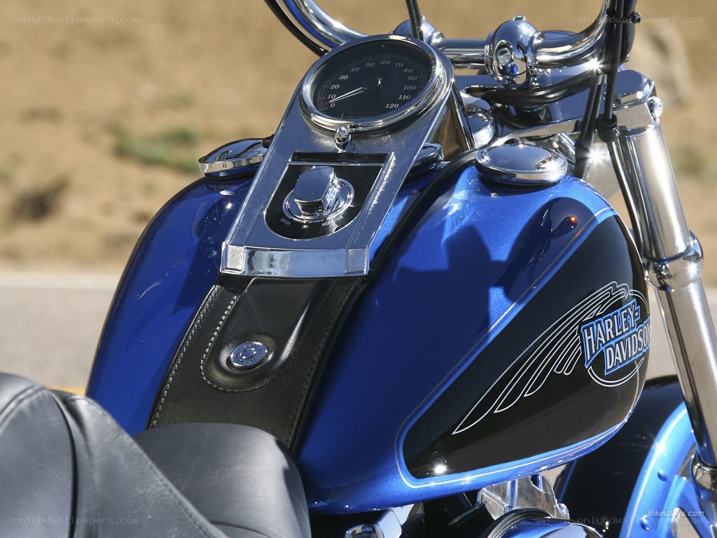blue harley-davidson motorcycle