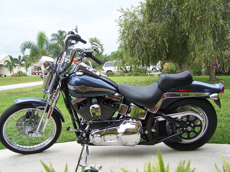 Blue Harley-davidson Motorcycle — Black