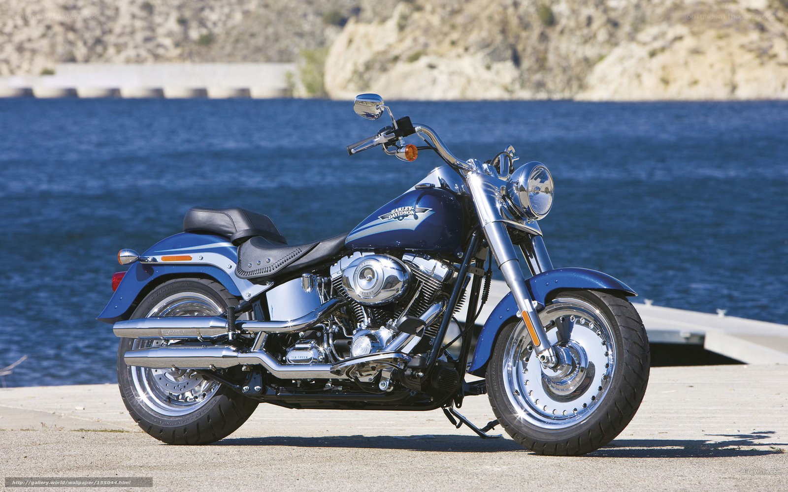 Blue Harley-Davidson motorcycle by water