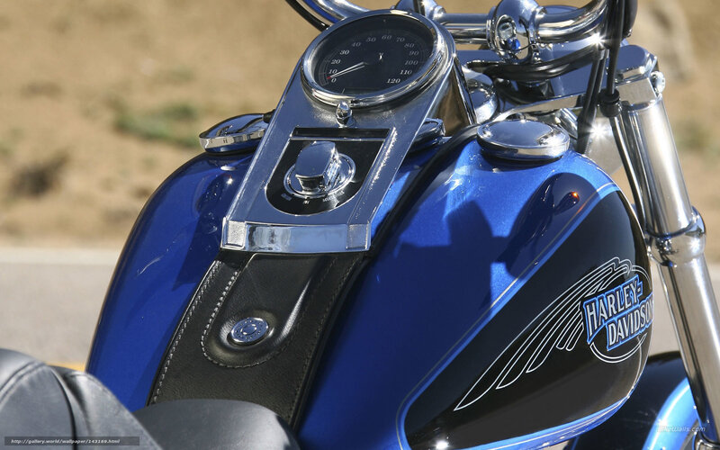 Blue Harley-davidson Motorcycle — Calm, Afternoon, Photograph, Gas Tank
