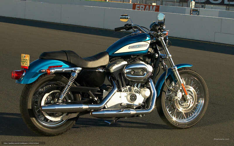 Blue Harley-davidson Motorcycle — Calm, Afternoon, Photograph, Race Track