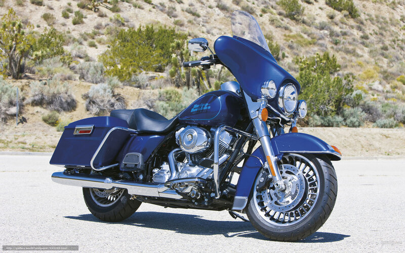 Blue Harley-davidson Motorcycle — Calm, Afternoon, Photograph, Saddlebags