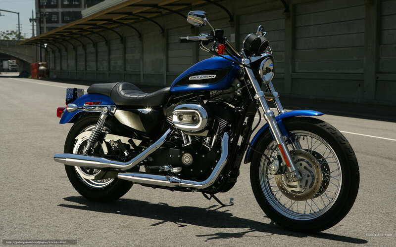 Blue Harley-davidson Motorcycle — Calm, Afternoon, Photograph, Street