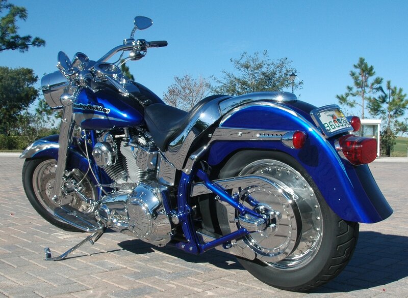 Blue Harley-davidson Motorcycle — Calm, Afternoon, Photograph, Trees, License Plate