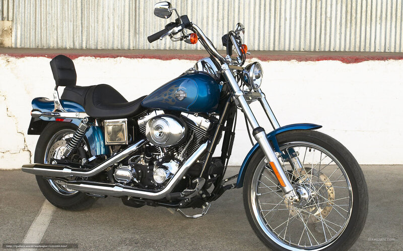 Blue Harley-davidson Motorcycle — Calm, Afternoon, Photograph, Wall