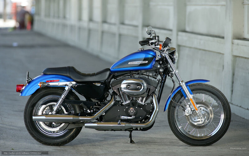 Blue Harley-davidson Motorcycle — Neutral, Afternoon, Photograph, Black Seat