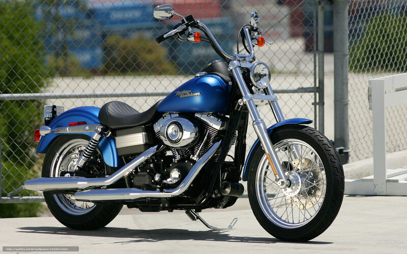 Blue Harley-davidson Motorcycle — Neutral, Afternoon, Photograph, Chain-link Fence