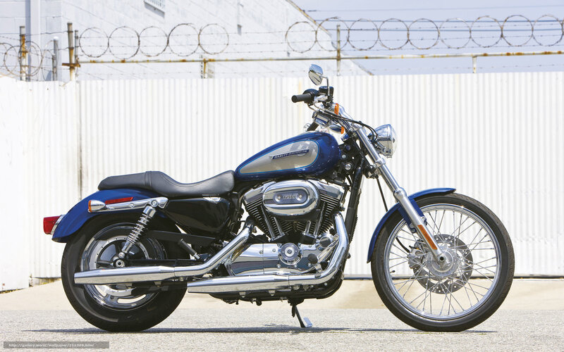Blue Harley-davidson Motorcycle — Neutral, Afternoon, Photograph, Fence
