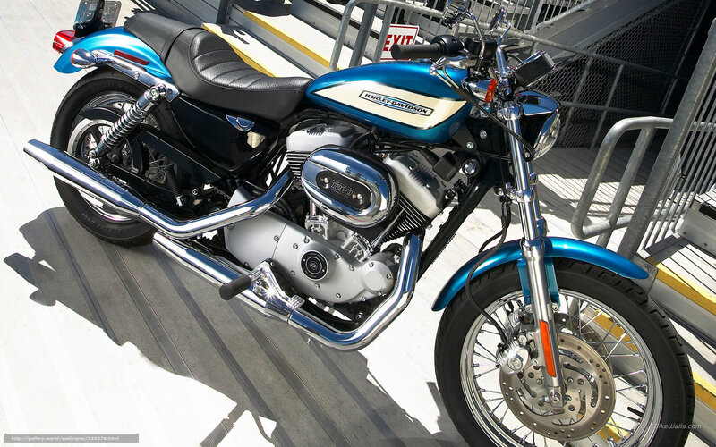 Blue Harley-davidson Motorcycle — Neutral, Afternoon, Photograph, Railing