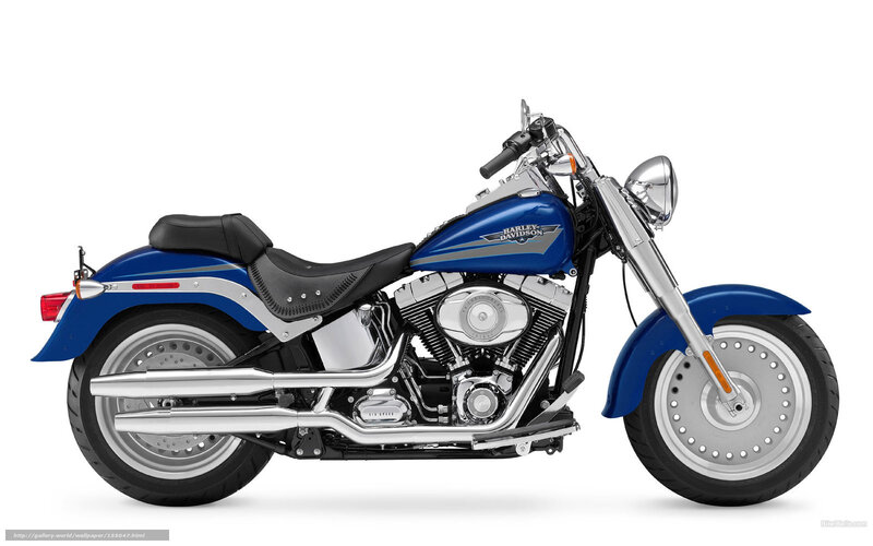Blue Harley-davidson Motorcycle — Neutral, Photograph, Seat, Engine, Headlight