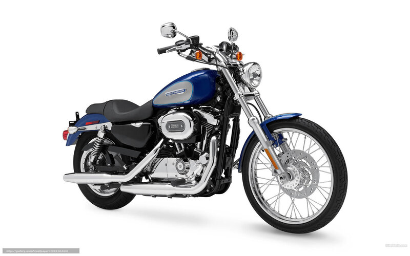 Blue Harley-davidson Motorcycle — Neutral, Photograph, Seat, Headlight, Exhaust