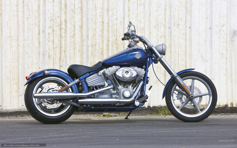Blue Harley-davidson Motorcycle — Neutral, Photograph, Wall
