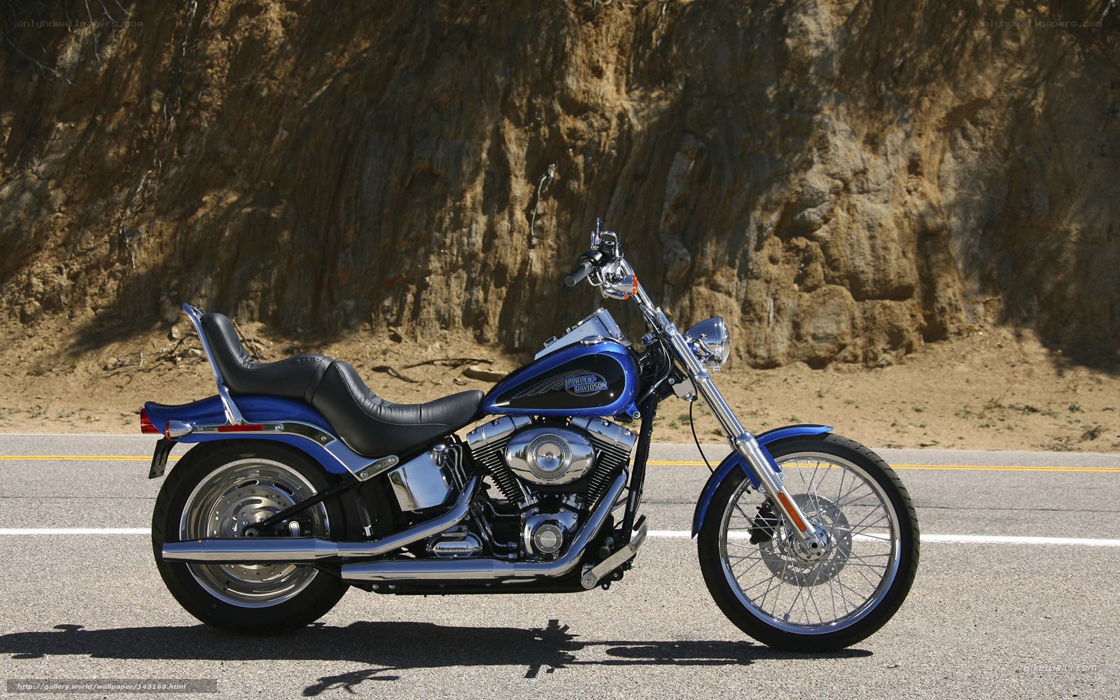 Blue Harley-Davidson motorcycle on road
