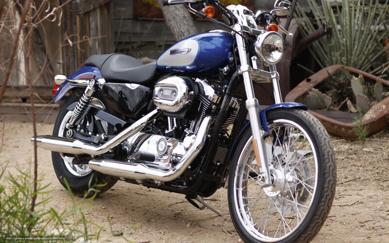 Blue Harley-davidson Motorcycle — Outdoor